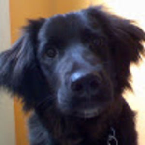 Meet your Posher, Anne